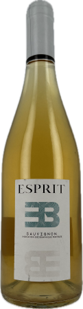 ESPRIT BLANC - Emilie et Beno&icirc;t FACE.png
