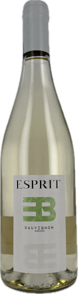 ESPRIT DEMI SEC - Emilie et Beno�t FACE.png