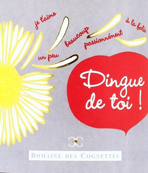 Dingue de toi